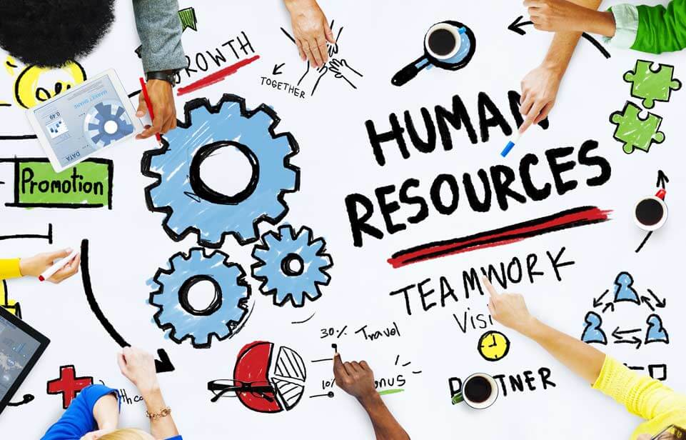 The Importance of Human Resource Management for Cannabis Businesses