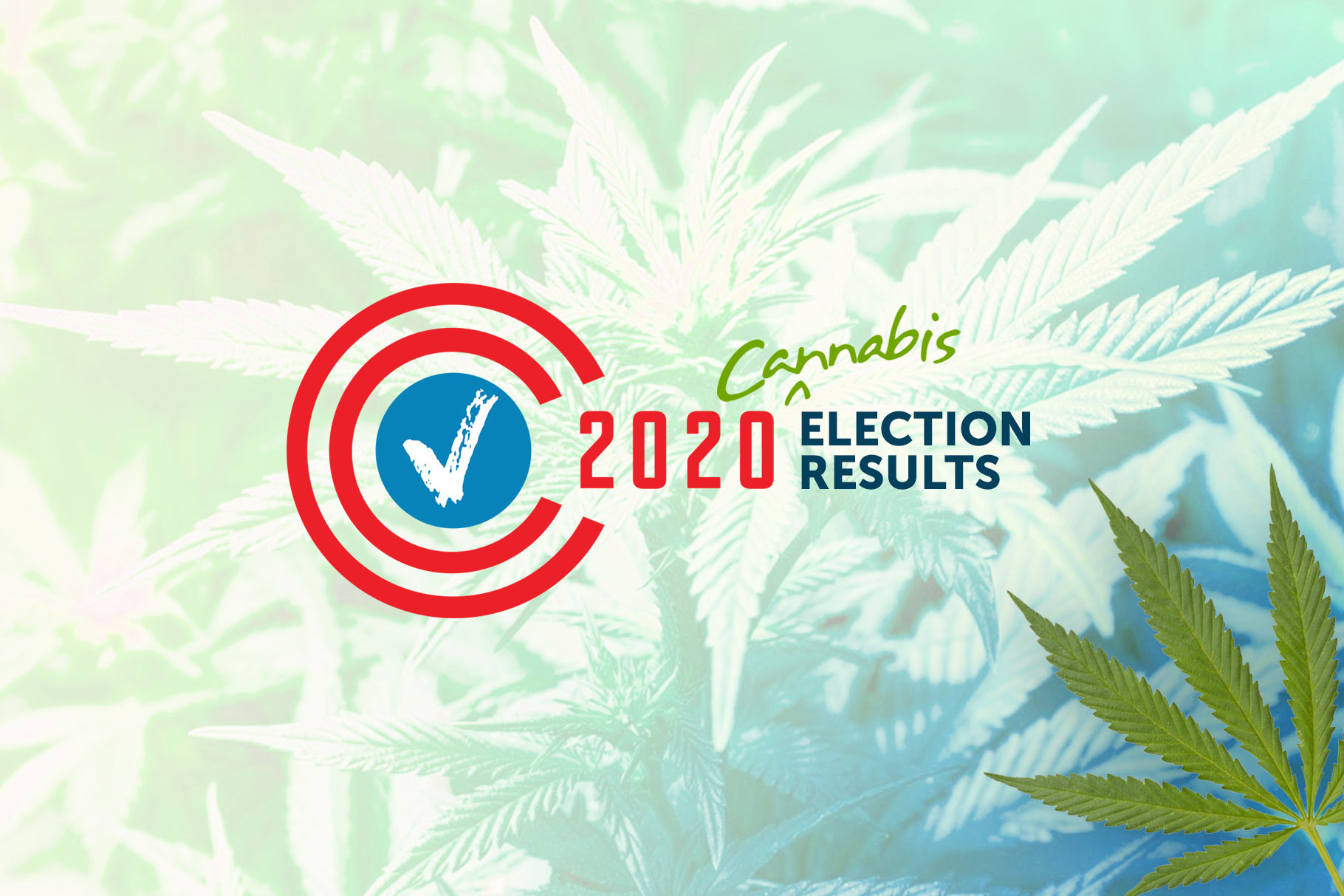 Election 2020: Cannabis Legalization Results
